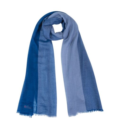 4-Color Rectangle (Blue)